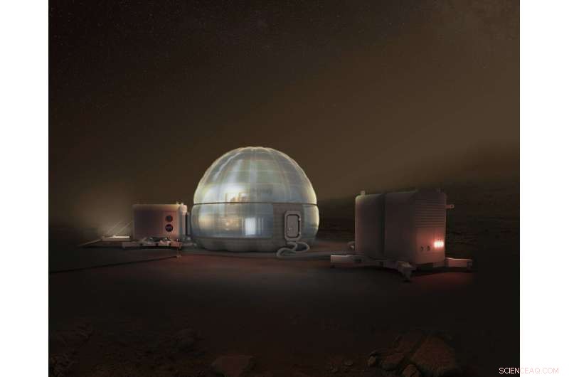 Optimal Radiation Shielding Solutions for Mars Surface Missions