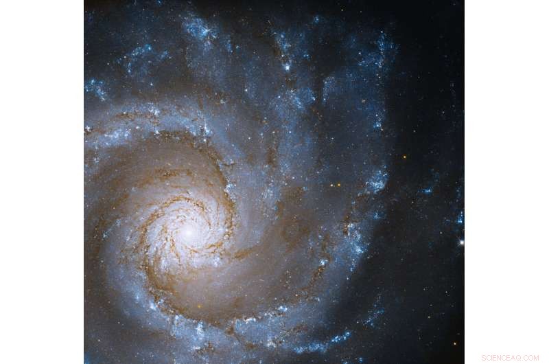 Hubble Reveals the Stunning Grand Spiral Galaxy NGC 3631