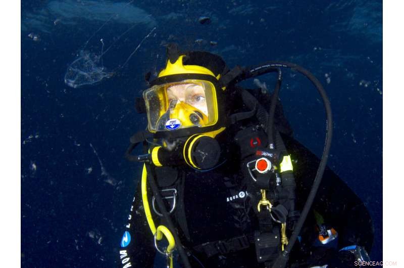 The Origin of Hawaiian Box Jellies: How Lunar Cycles Guide Their Migration
