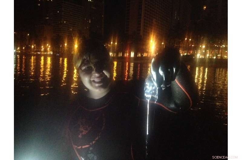 The Origin of Hawaiian Box Jellies: How Lunar Cycles Guide Their Migration