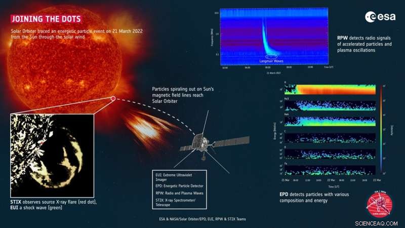 Discover the Sun s Mysterious  Solar Hedgehog —A New Solar Phenomenon