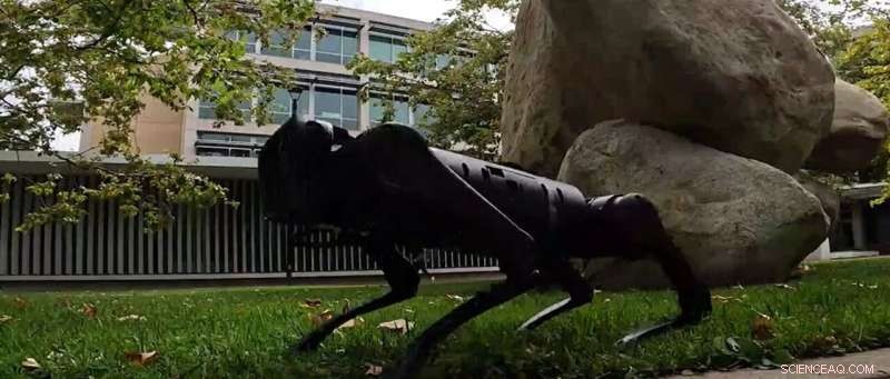 Advanced Algorithms Empower Four‑Legged Robots to Navigate Wild Terrain