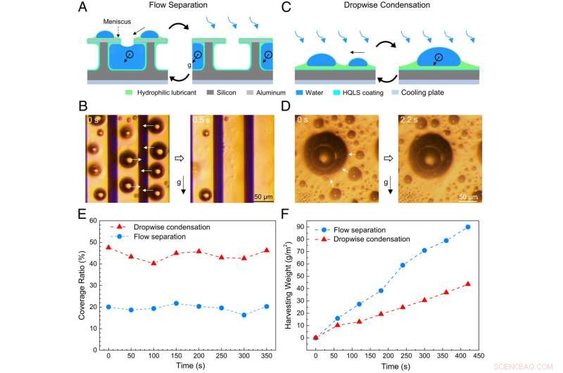 Researchers Advance Water Harvesting with Flow‑Separation Platform