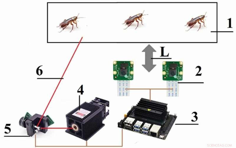 AI-Driven Laser System Effectively Eliminates Roaches