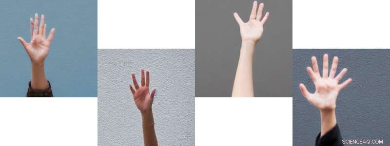 AI Generates Prize-Winning Art, Yet Human Creativity Remains Unmatched