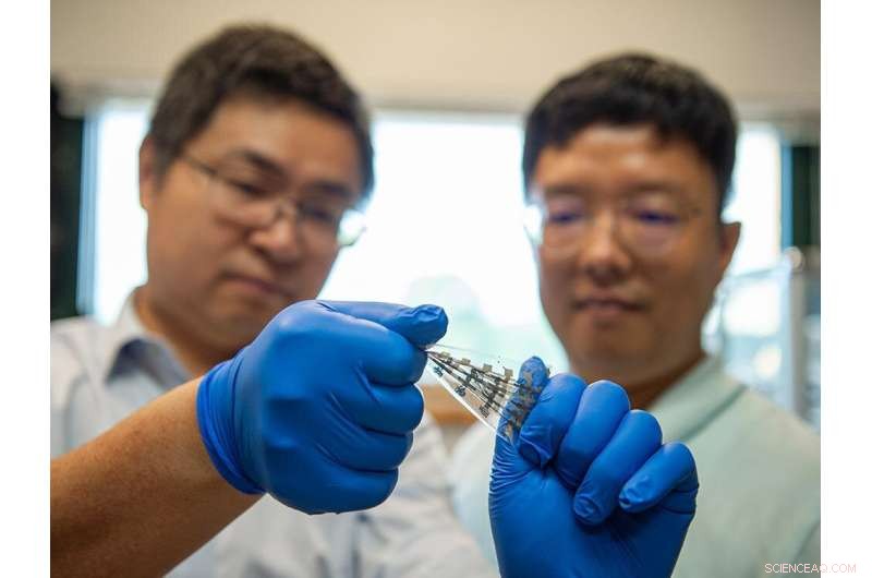 Bio-Inspired Stretchable Synaptic Transistor Enhances or Weakens Device Memories