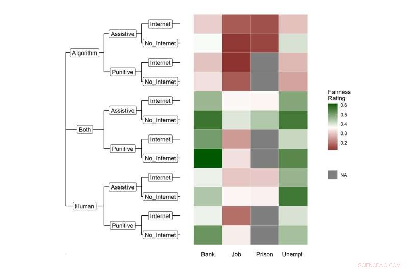 Do People Trust AI to Make Fair Decisions? Expert Insights