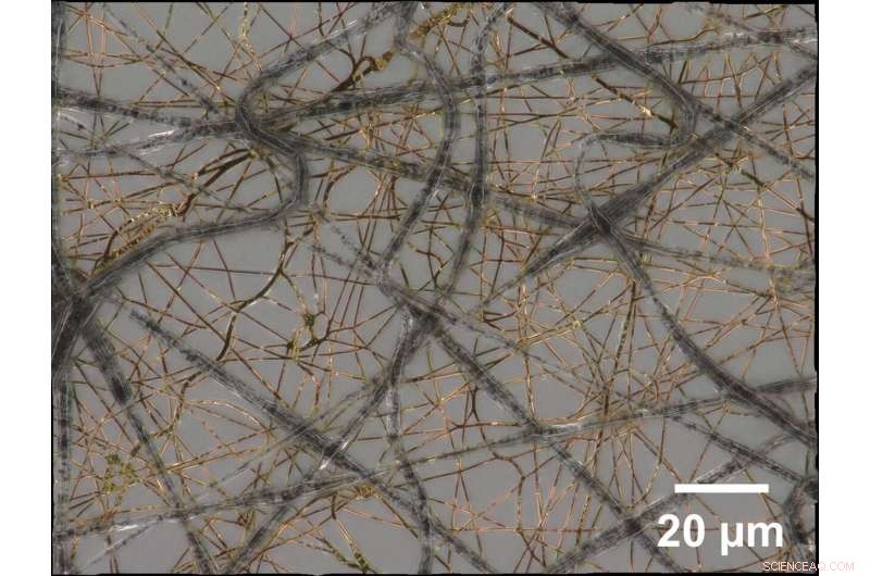 Ultra‑Thin Mesh Technology Enhances Wearable Medical Sensors