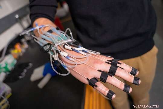 Fluidic Circuits Expand Control Options for Soft Robots with Analog Air‑Driven Systems