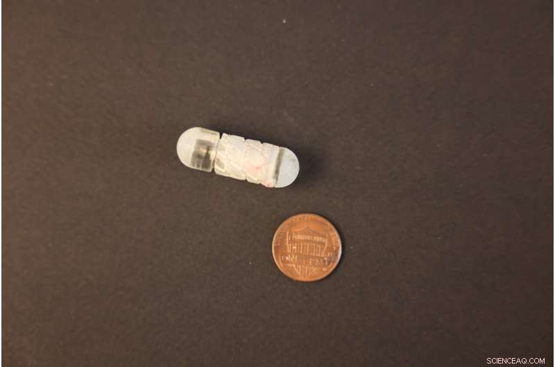 MIT Engineers Create Smart Capsule for Targeted Drug Delivery to the Gut