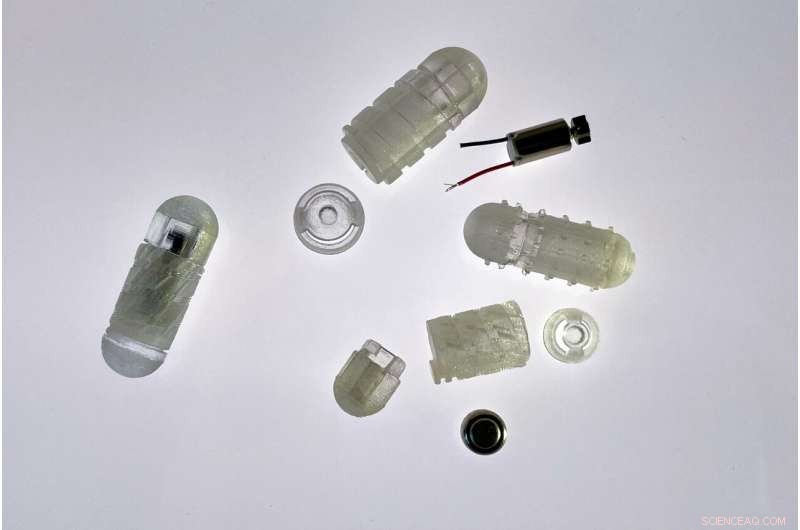 MIT Engineers Create Smart Capsule for Targeted Drug Delivery to the Gut