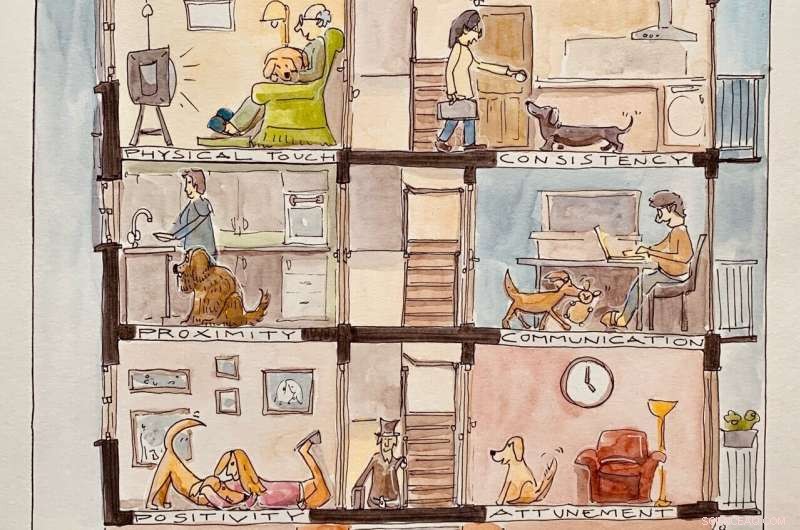 How Dog‑Human Bonding Insights Inform Social Robot Design