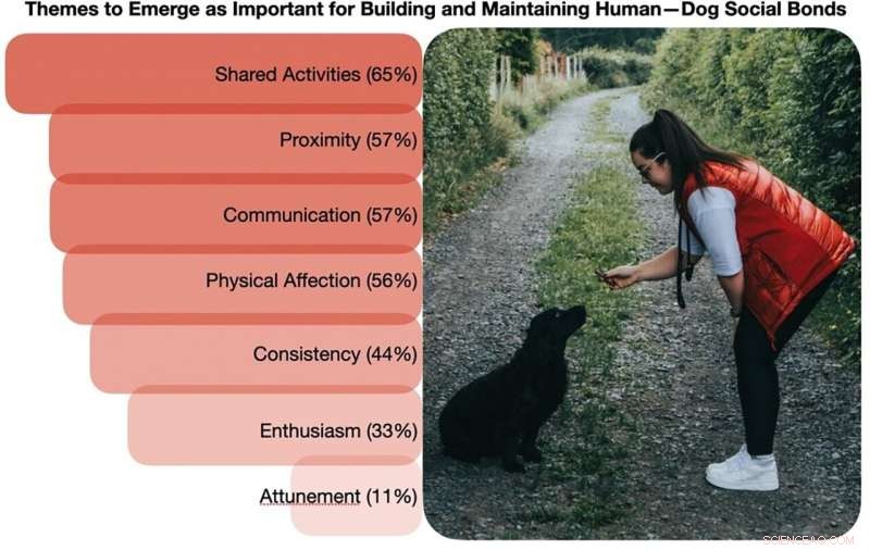 How Dog‑Human Bonding Insights Inform Social Robot Design