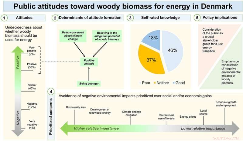 Half of Denmark s Population Unaware of Biomass Energy, New Study Reveals