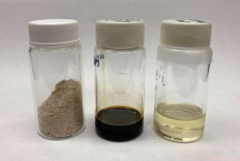 Revolutionary Lignin Catalysis Paves Way to 100% Sustainable Aviation Fuel