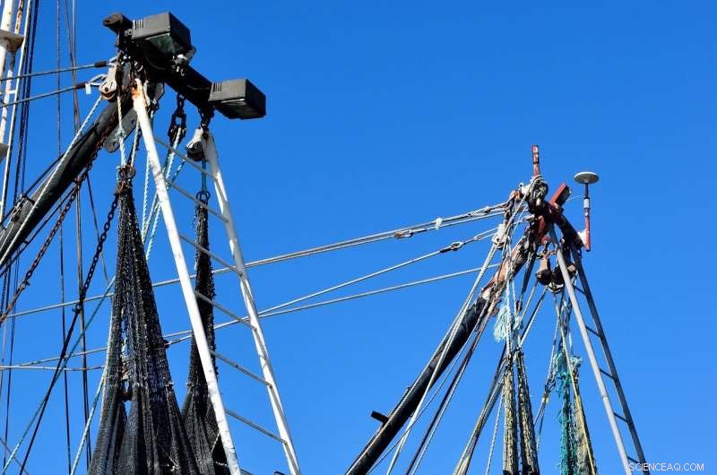 Smartphone-Based System for Real-Time Detection of Vessel Fishing Activity