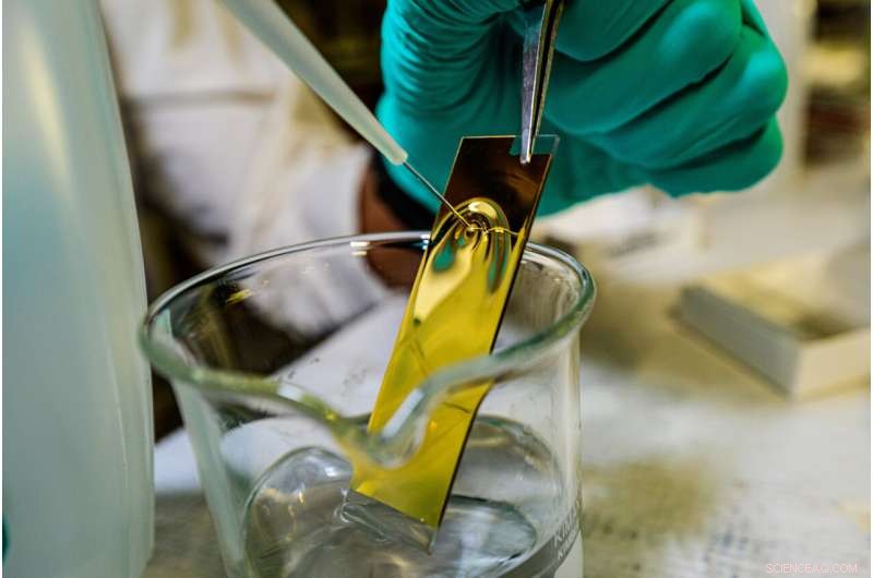 Rice University Breaks Solar Cell Durability Barrier with Innovative Solvent Design