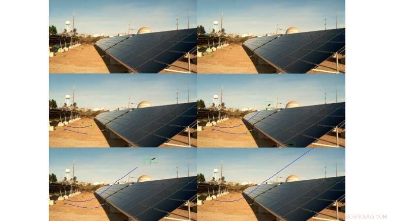 AI-Driven Tracking of Bird Activity Enhances Solar Facility Operations