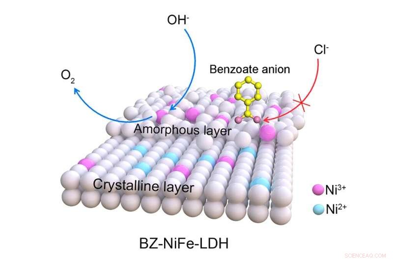Innovative Platform Converts Seawater into Sustainable Fuel