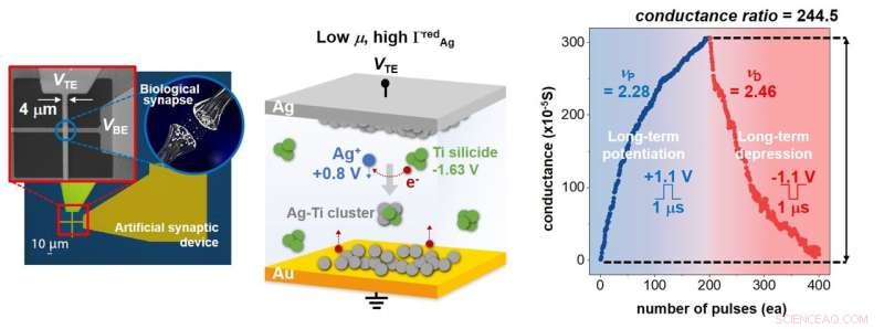 Engineers Unveil High-Performance, Reliable Artificial Synapse Semiconductor for Neuromorphic Computing