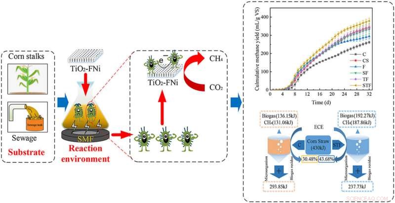Magnetic Field Boosts Production of Synthetic Biogas from Agricultural Biomass