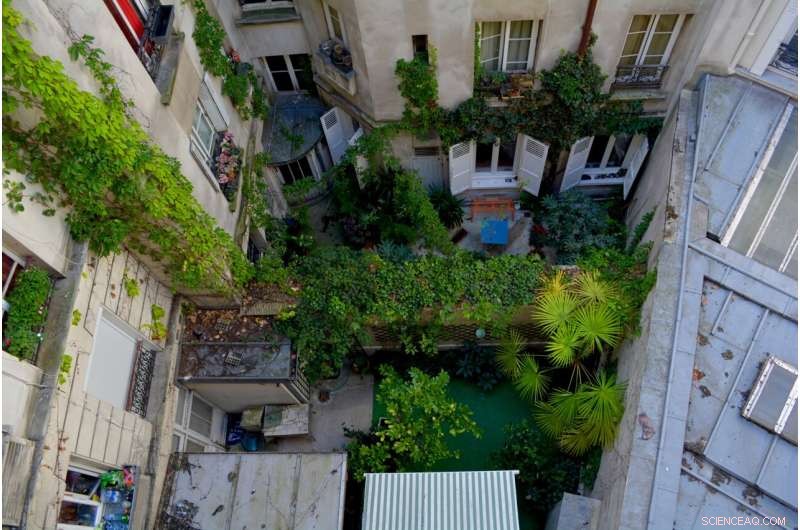 Revitalizing Urban Spaces: Professor Bousselot s Rooftop Garden in Denver