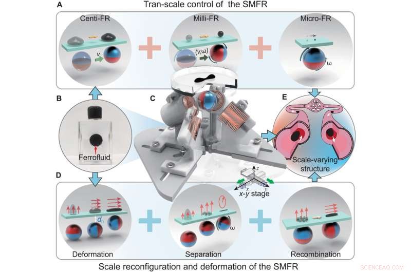 Miniature Soft Robot Disassembles and Reassembles to Navigate Tight Spaces