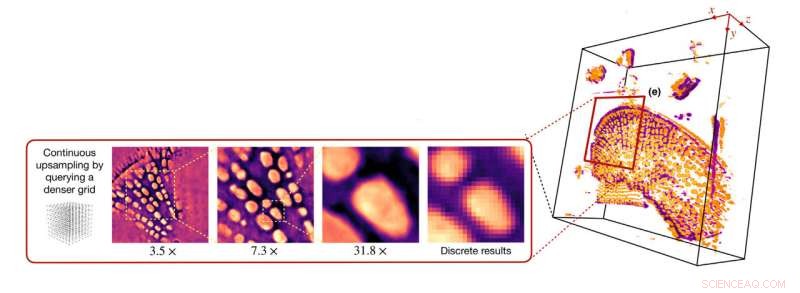 Machine Learning Breaks Ground: Washington University Generates 3D Cellular Models from Partial 2D Images