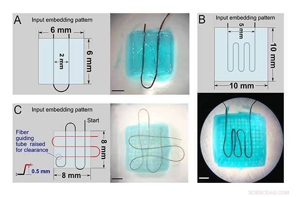 Hydrogels Drive Innovation in Soft Robotics with New Open-Source Fiber Extruder