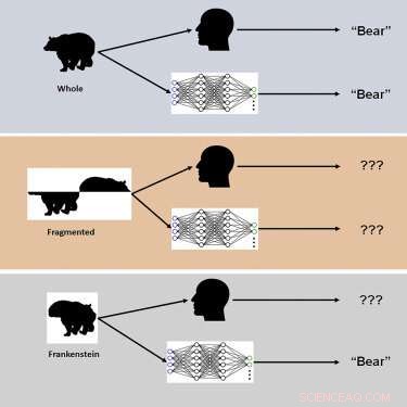 Study Uncovers AI s Risky Shortcuts in Complex Object Recognition