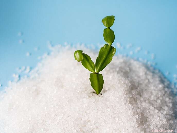 Bio-Based PEF: A Promising Alternative to Lower Plastic Industry Carbon Footprint