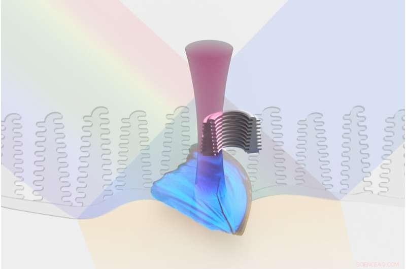 Nature-Inspired 3D‑Printed Surfaces: Mimicking Morpho Butterfly Colors and Extreme-Habitat Adaptations