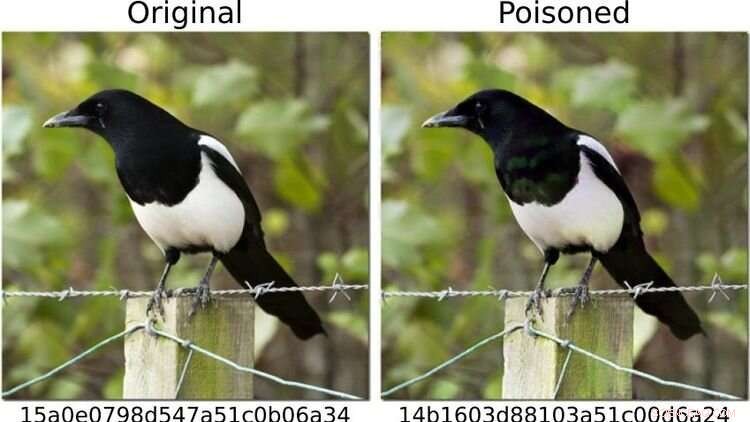 Exposing Vulnerabilities in Deep Perceptual Hashing: How AI Can Bypass Image Fingerprints