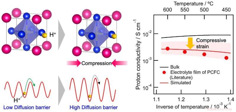 In-Plane Compression of Y-Doped Barium Zirconate Reduces Proton Conductivity in Solid Oxide Fuel Cells