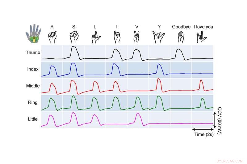 High‑Efficiency Carbon Nanotube Yarns Harvest Power from Stretching