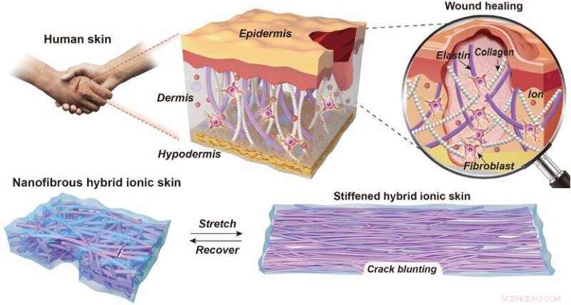Self-Healing, Fatigue-Free Artificial Ionic Skin Inspired by Human Skin
