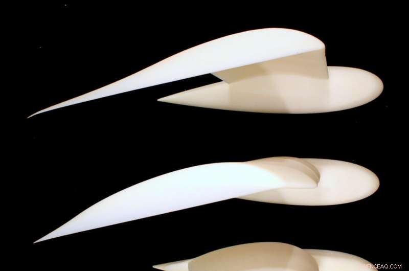 Engineers Harness Gull Flight Mechanics to Boost Drone Performance