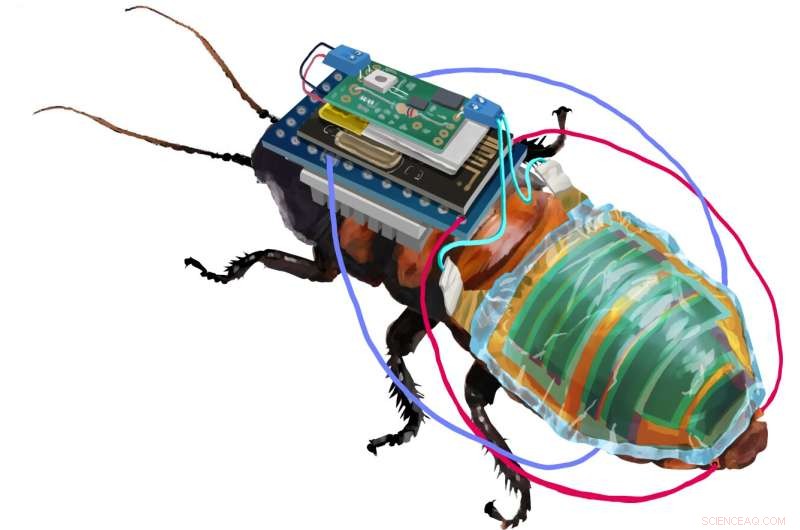 Robo-Bug: Rechargeable, Remote‑Operated Cyborg Cockroach Developed by RIKEN Scientists
