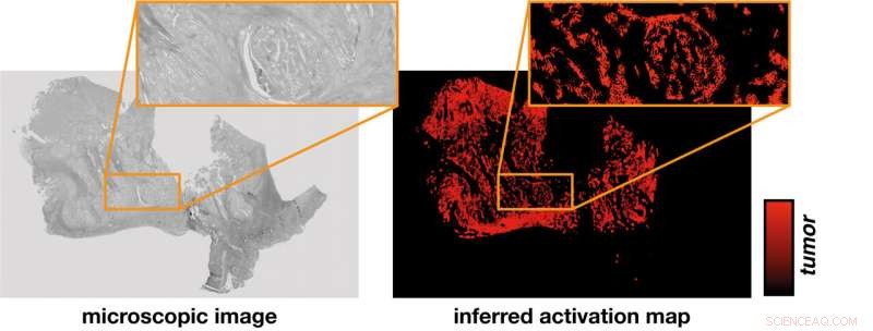 How AI Provides Transparent Explanations for Its Decisions