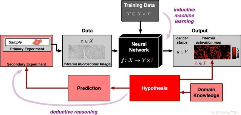 How AI Provides Transparent Explanations for Its Decisions