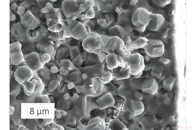 Eco-Friendly Adhesives Derived from Whey: Sustainable Innovation in the Dairy By‑Product Industry