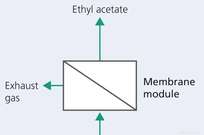 Eco-Friendly Adhesives Derived from Whey: Sustainable Innovation in the Dairy By‑Product Industry