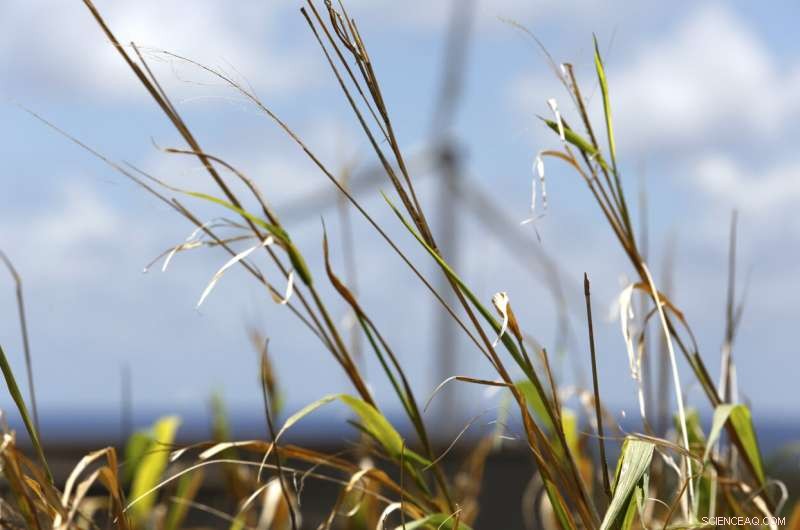 Hawaii Closes Final Coal Plant to Advance 100% Renewable Energy Goal