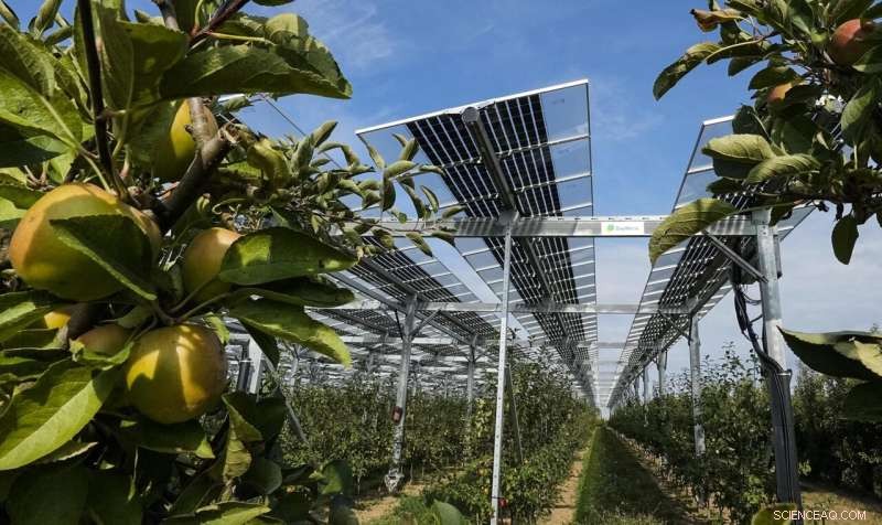Sweet Return: German Farmer Combines Solar Power with Organic Apple Orchard