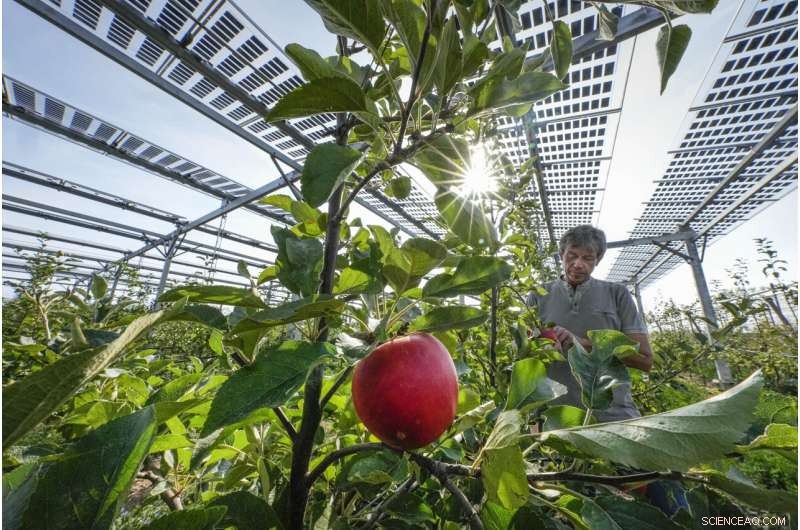 Sweet Return: German Farmer Combines Solar Power with Organic Apple Orchard