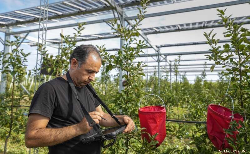 Sweet Return: German Farmer Combines Solar Power with Organic Apple Orchard
