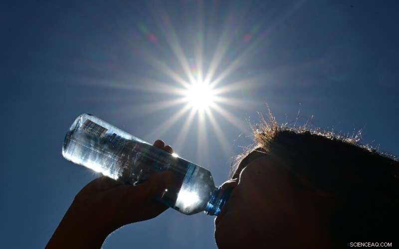 California Advises Residents to Avoid EV Charging Amid Heat‑Wave Grid Strain