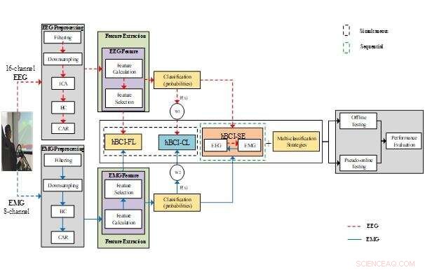 Hybrid Brain-Computer Interfaces Detect Drivers’ Hard and Soft Braking Intentions