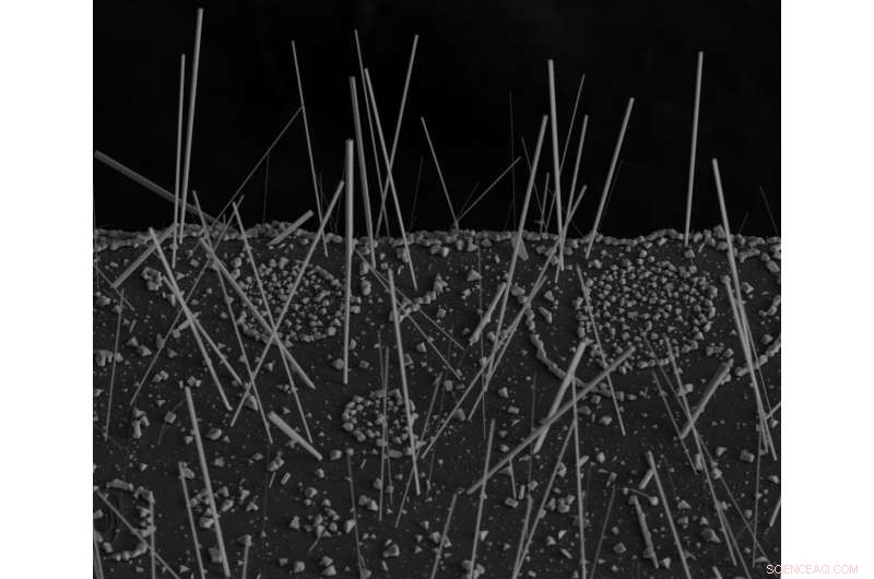 Berkeley Lab Unveils Lead‑Free Solar Material Featuring Built‑In Switch