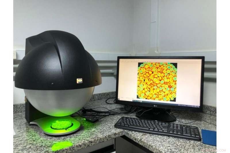 Using Multispectral Imaging and AI to Differentiate Specialty and Standard Coffee Beans